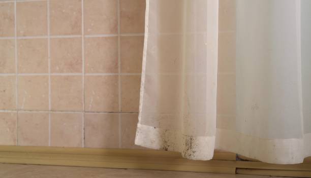 Best Dehumidification Services  in Firebaugh, CA