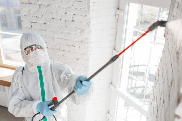 Best Commercial Mold Inspection  in Firebaugh, CA