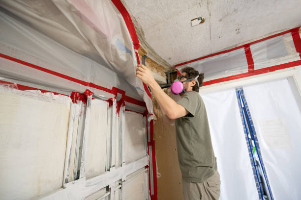 Best Crawl Space Mold Remediation  in Firebaugh, CA