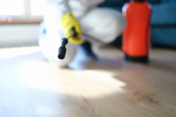 Trusted Firebaugh, CA Mold Removal Experts