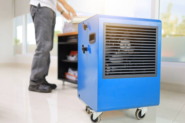 Best Mold-Related Health Consultation  in Firebaugh, CA