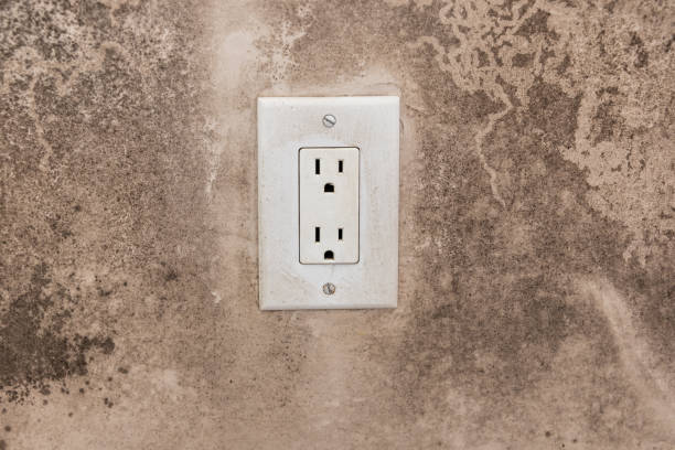 Best Dehumidification Services  in Firebaugh, CA